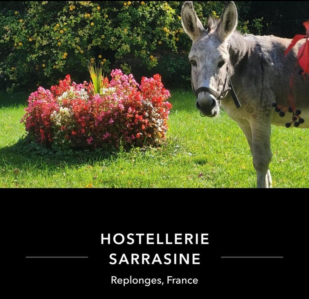 Hostellerie Sarrasine Replonges Esterno foto